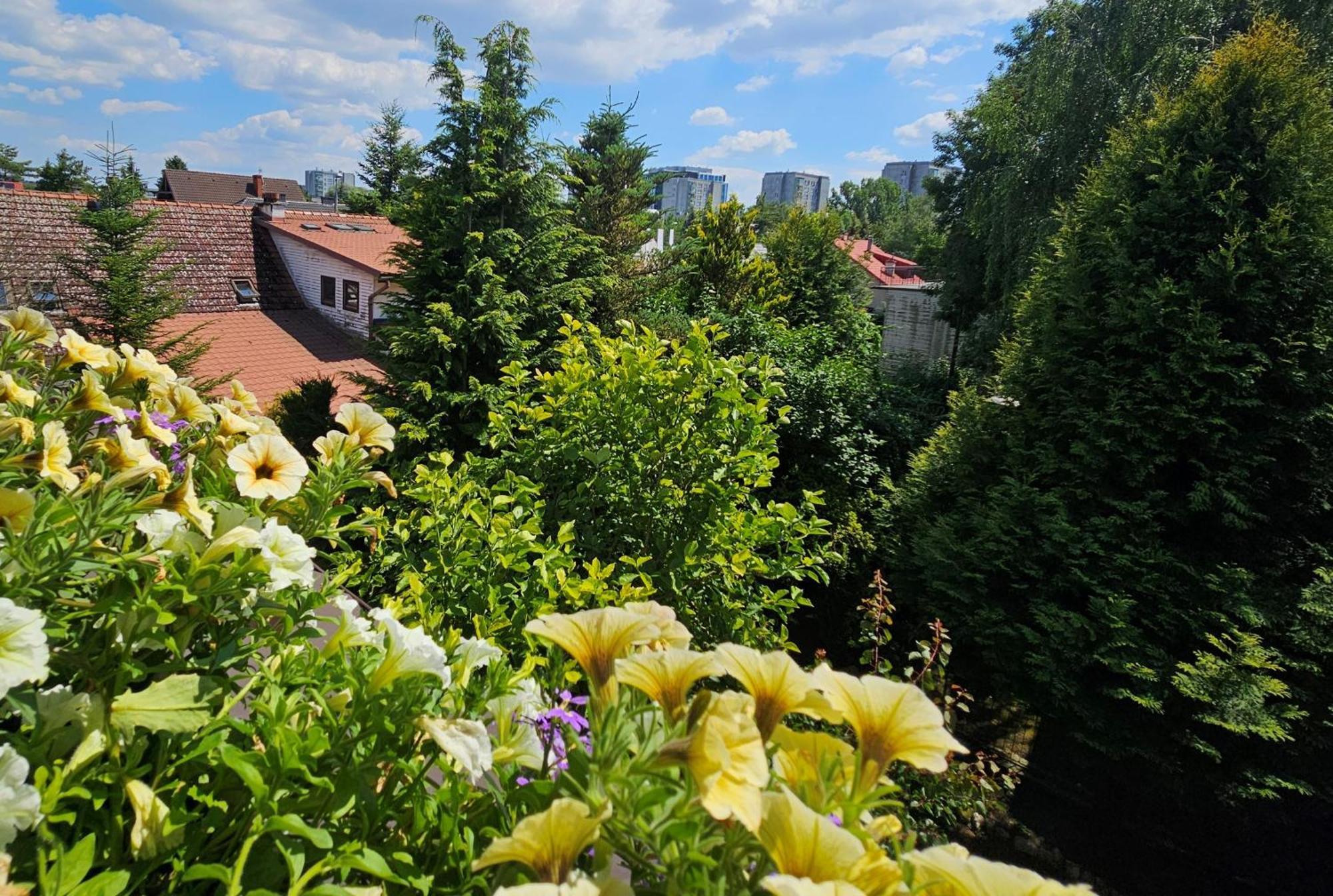 Park Apartment Cracovia Exterior foto
